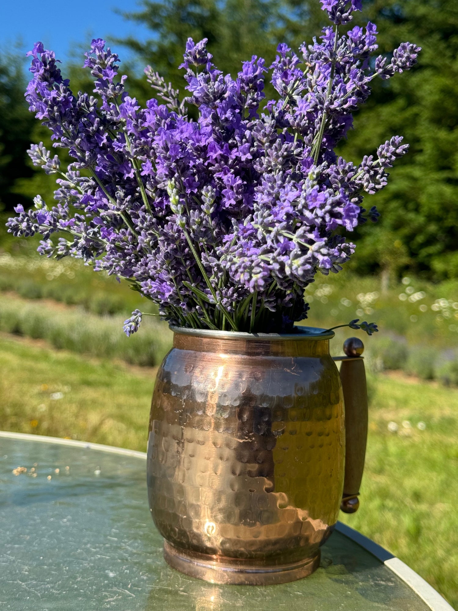 Lavender & Honey