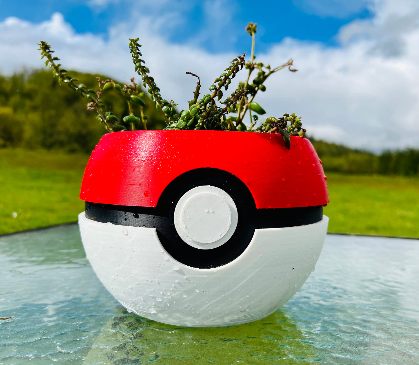 Pokeball Styled Planter  | 4 - 6 - 8 - 10  inches | Succulents Houseplants Outdoor Flowers | 3D Printed | Supports Small Farms