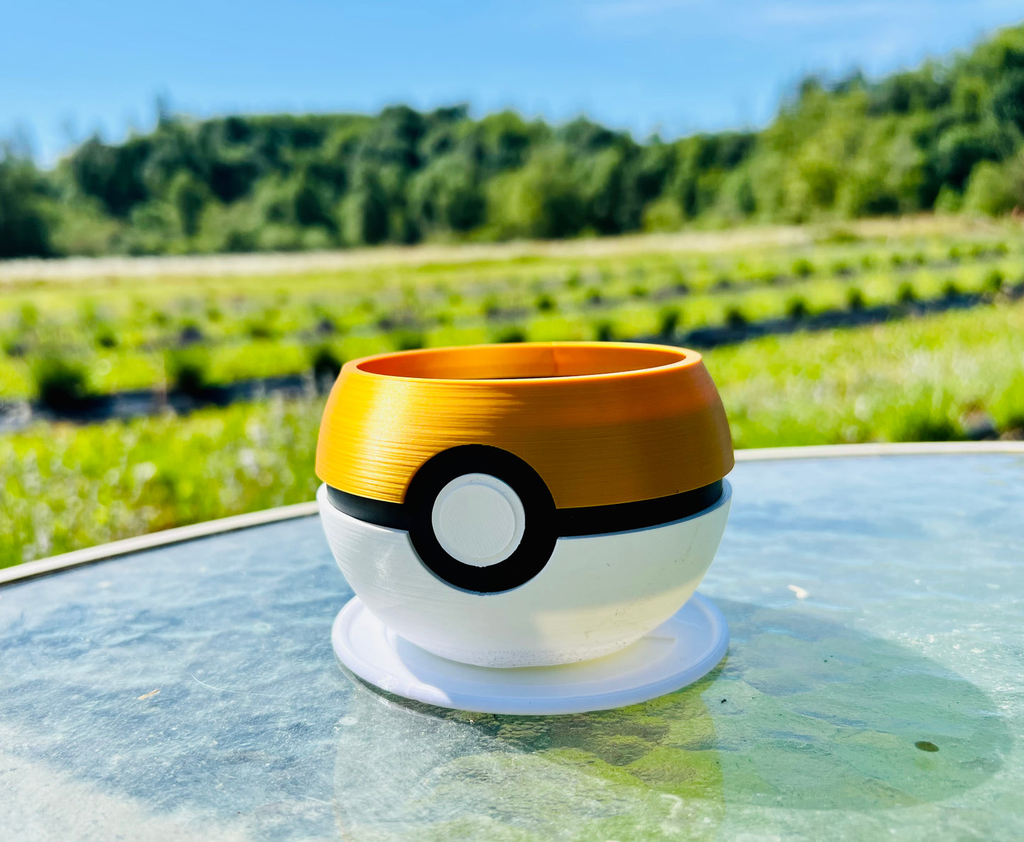 Cute Pokeball Planter with Taller Drip Tray | 4, 6, 8, 10 inches | Succulents Swampy Plants, Carnivorous plants | Indoor Outdoor Flowers | Farm Tested