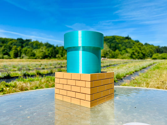 Super Mario Warp Pipe Inspired  - Self Watering Planter - Farm Tested - Indoor Outdoor Herbs Succulents Carnivores Two Sizes Multiple Colors