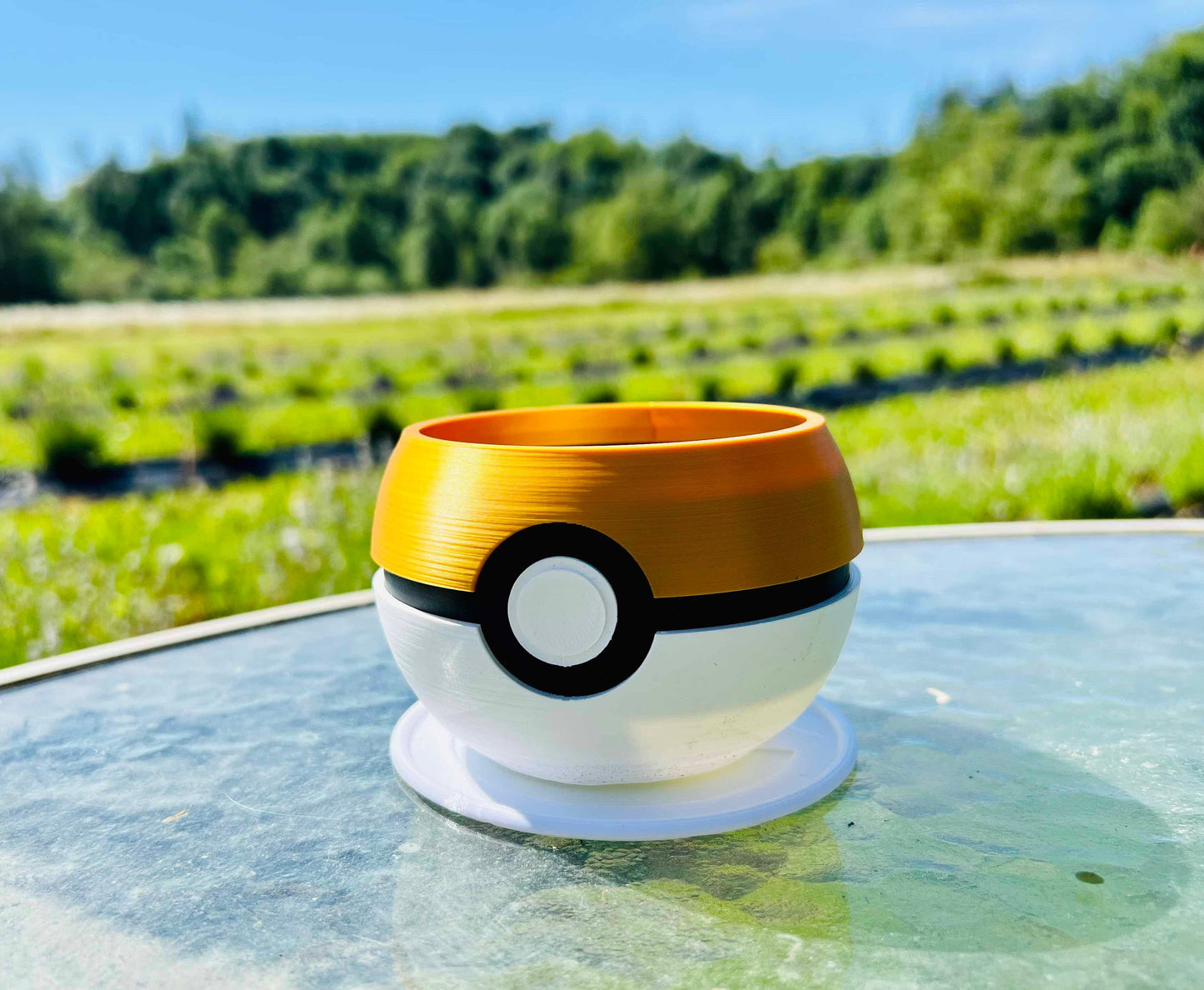 Custom Pokeball Planter with Drip Tray | 4, 6, 8, 10 inches | Succulents Herbs Flowers Houseplants | Indoor or Outdoor | Farm Tested