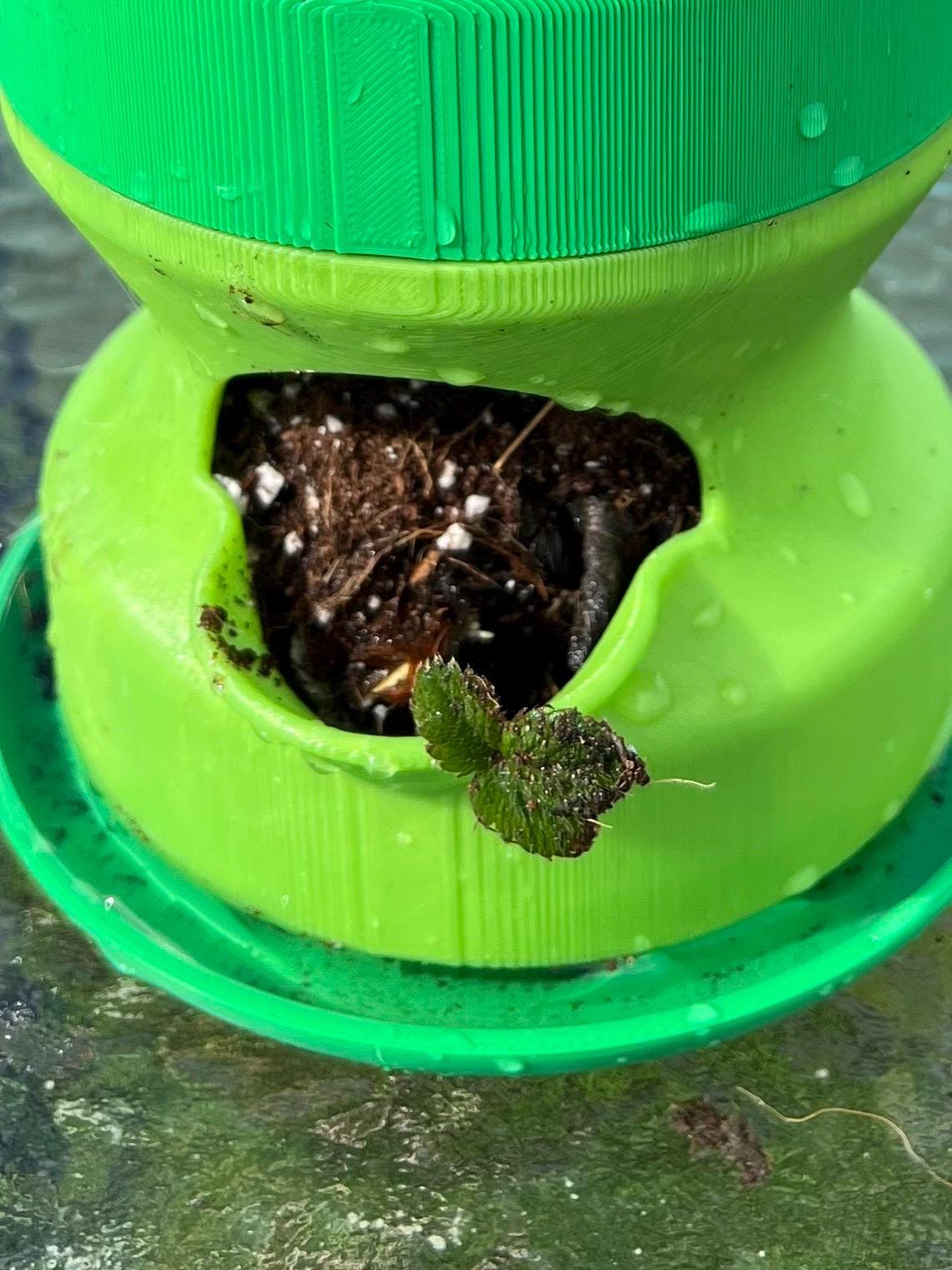 Stacking Self Watering Planter Tower Herbs Strawberries Veggies | Various Colors | Farm Tested | Two Sizes